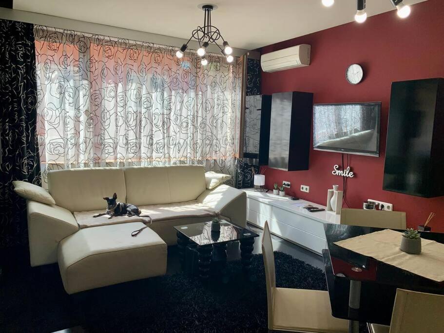 Lovely Sofia Apartment Katerina With Free Parking 外观 照片